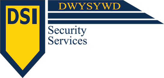 DSI Regular Logo